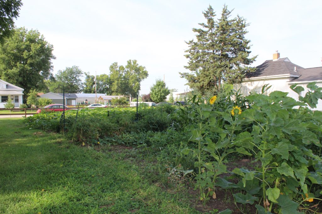 Matthew 25's Cultivate Hope Urban Farm Community Garden Space in Cedar Rapids