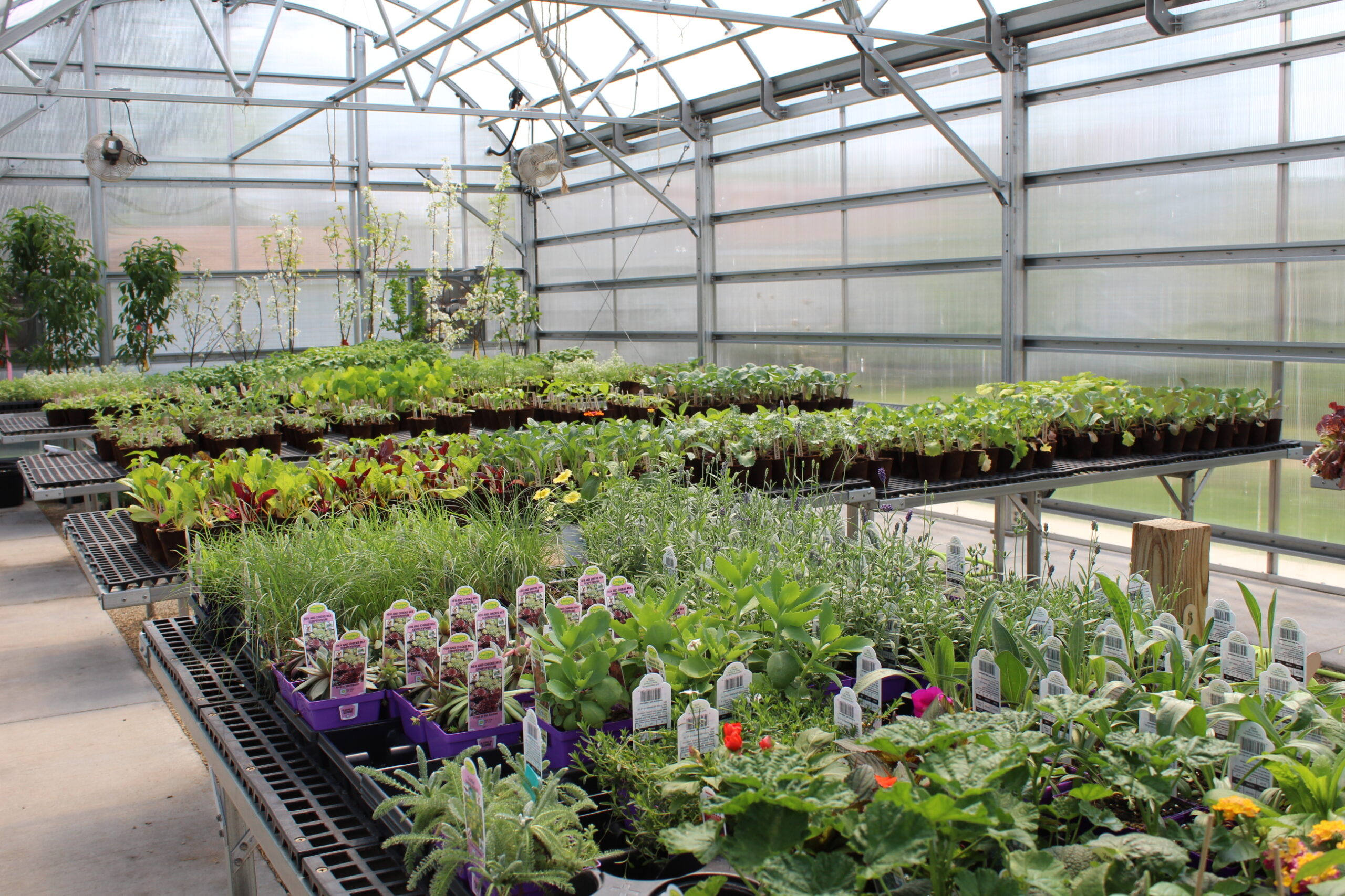 Our Annual Plant Sale is May 4th!
