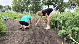 farming